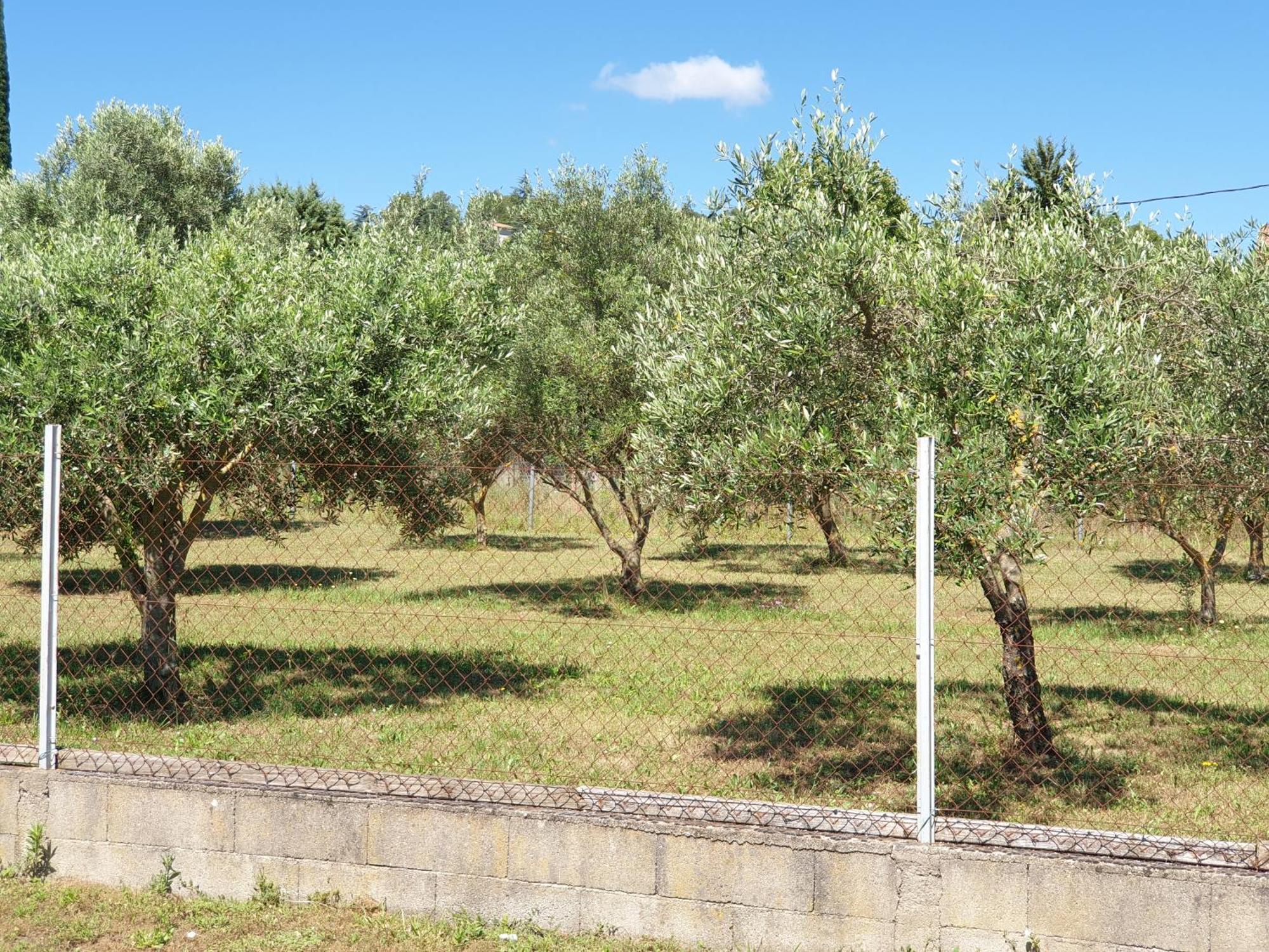Gite Et Piscine L'Ecrin Aux Oliviers En Cevennes Saint-Christol-les-Ales Luaran gambar